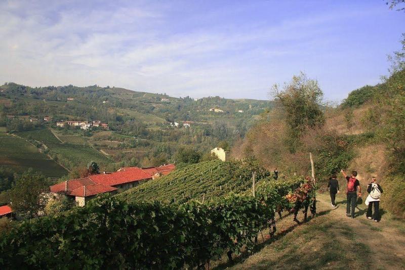 Hotel Monteverde - Genel