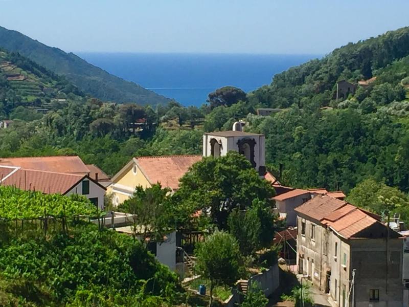 La Casa Di Farfalle E Gabbiani - Genel