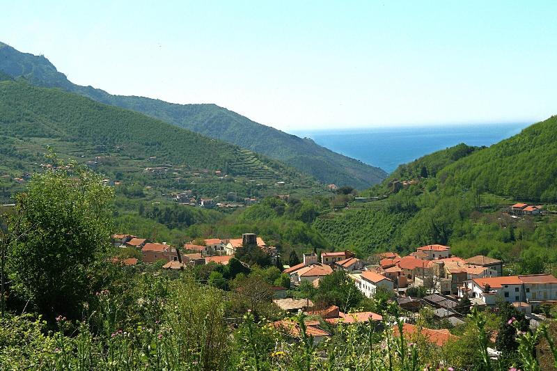 La Casa Di Farfalle E Gabbiani - Genel