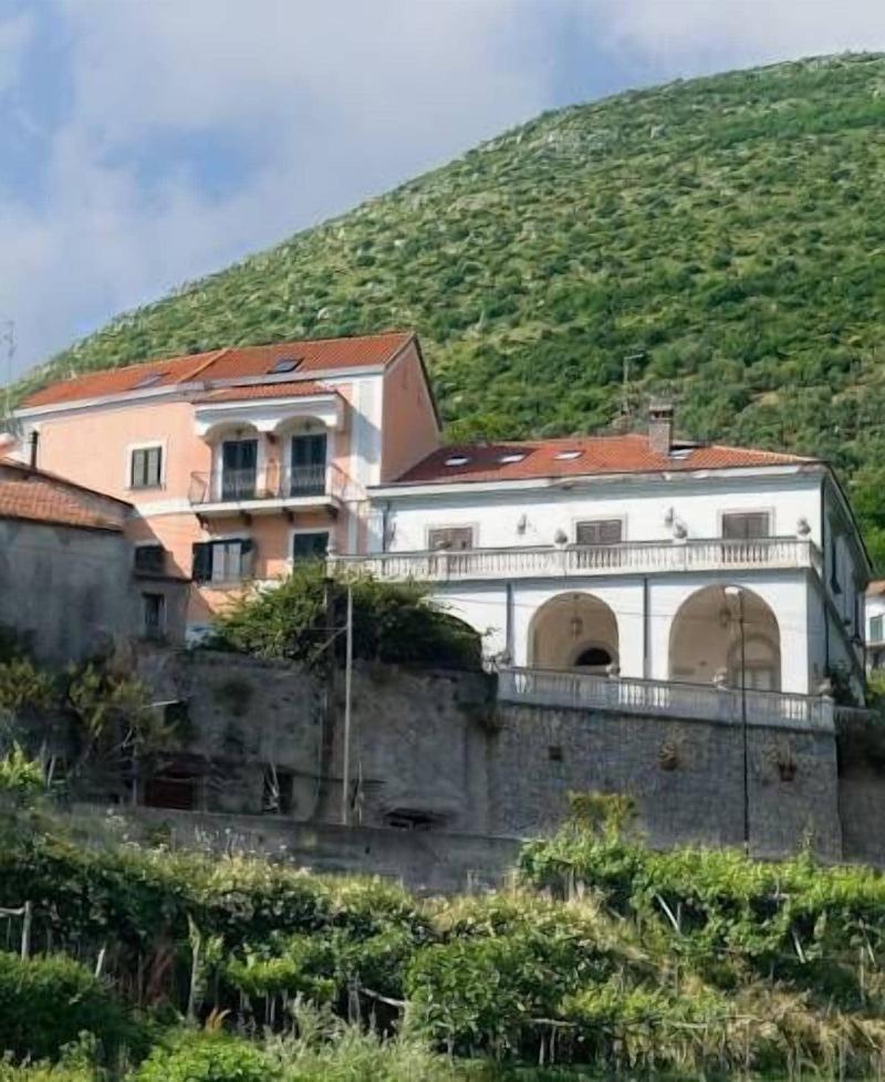 La Casa Di Farfalle E Gabbiani - Genel