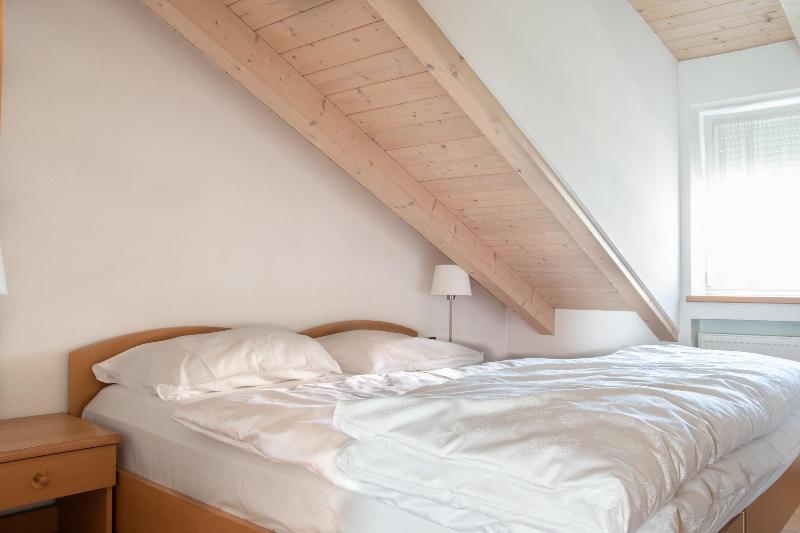 Residence Isarcus - Oda