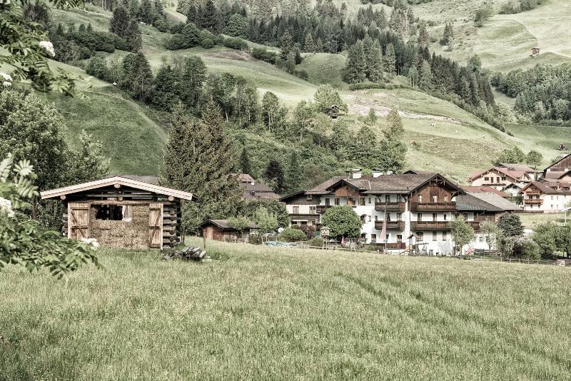 Die Unterbergerin - Genel