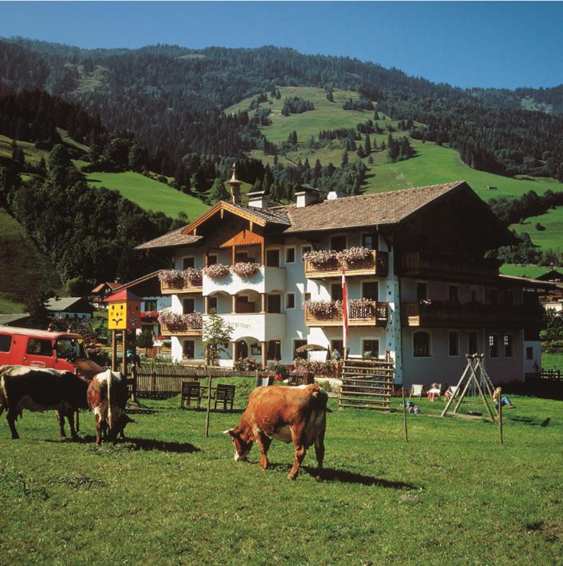 Die Unterbergerin - Genel
