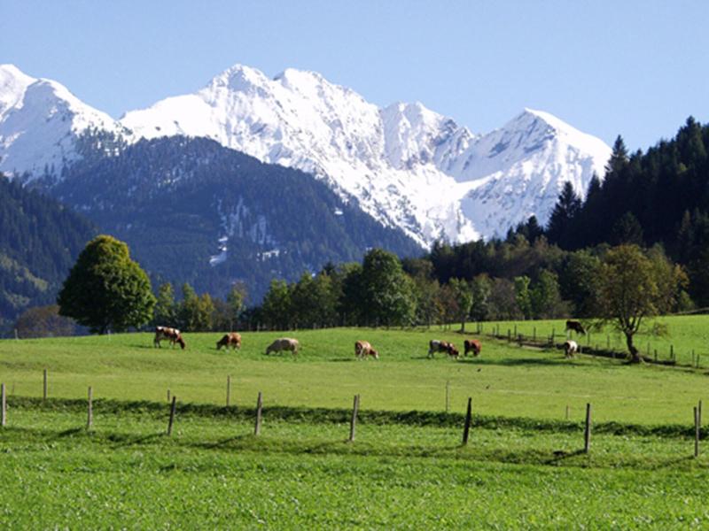 Die Unterbergerin - Oda