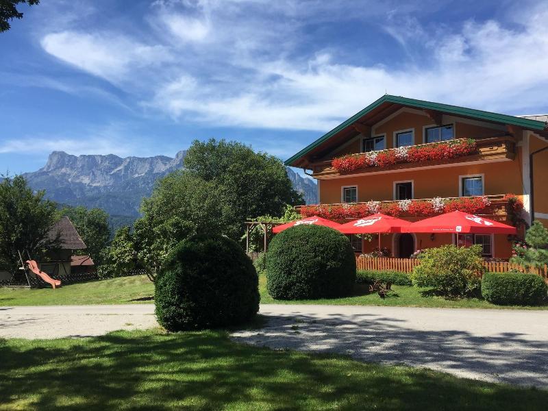 Pension David - Genel