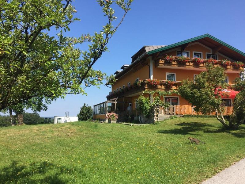 Pension David - Genel