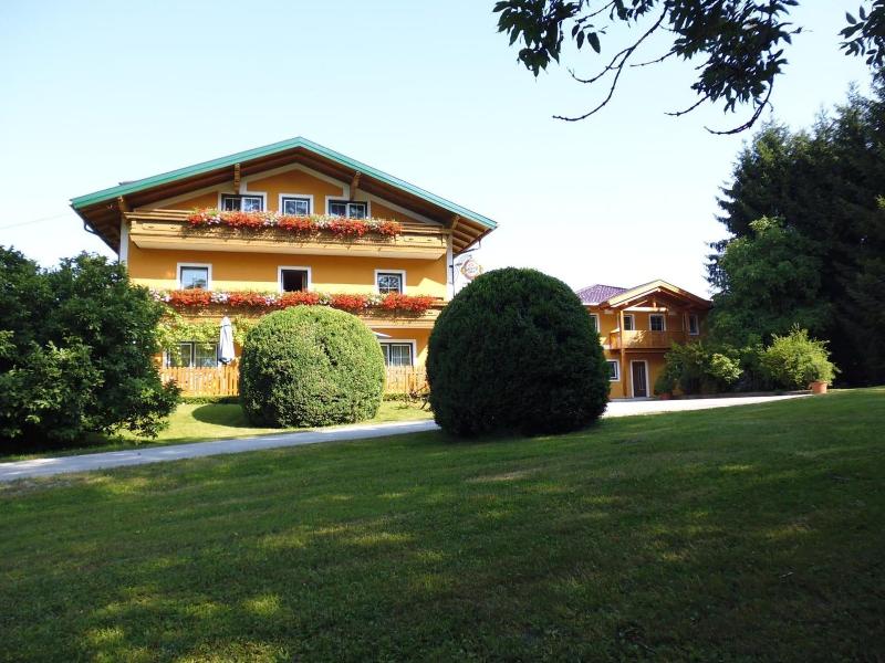 Pension David - Genel
