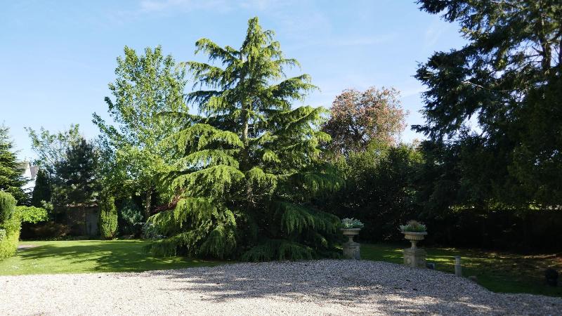 Kerrington House - Genel