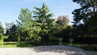 Kerrington House fotoÄŸrafÄ±