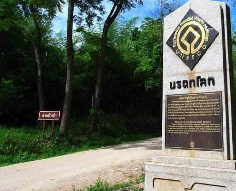 Huaykhakhaeng Country Home Resort - Aktivite