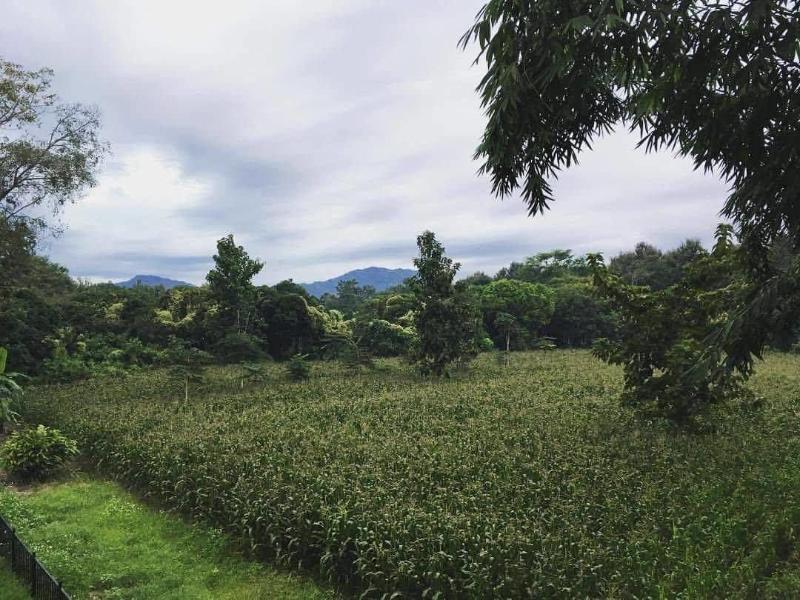 Manonnee Hotel - Oda