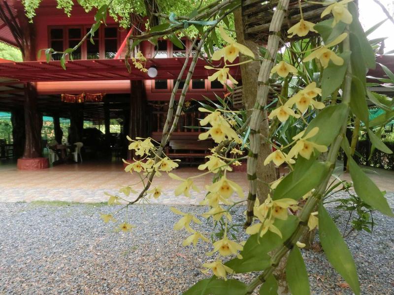 Big House Resort - Genel