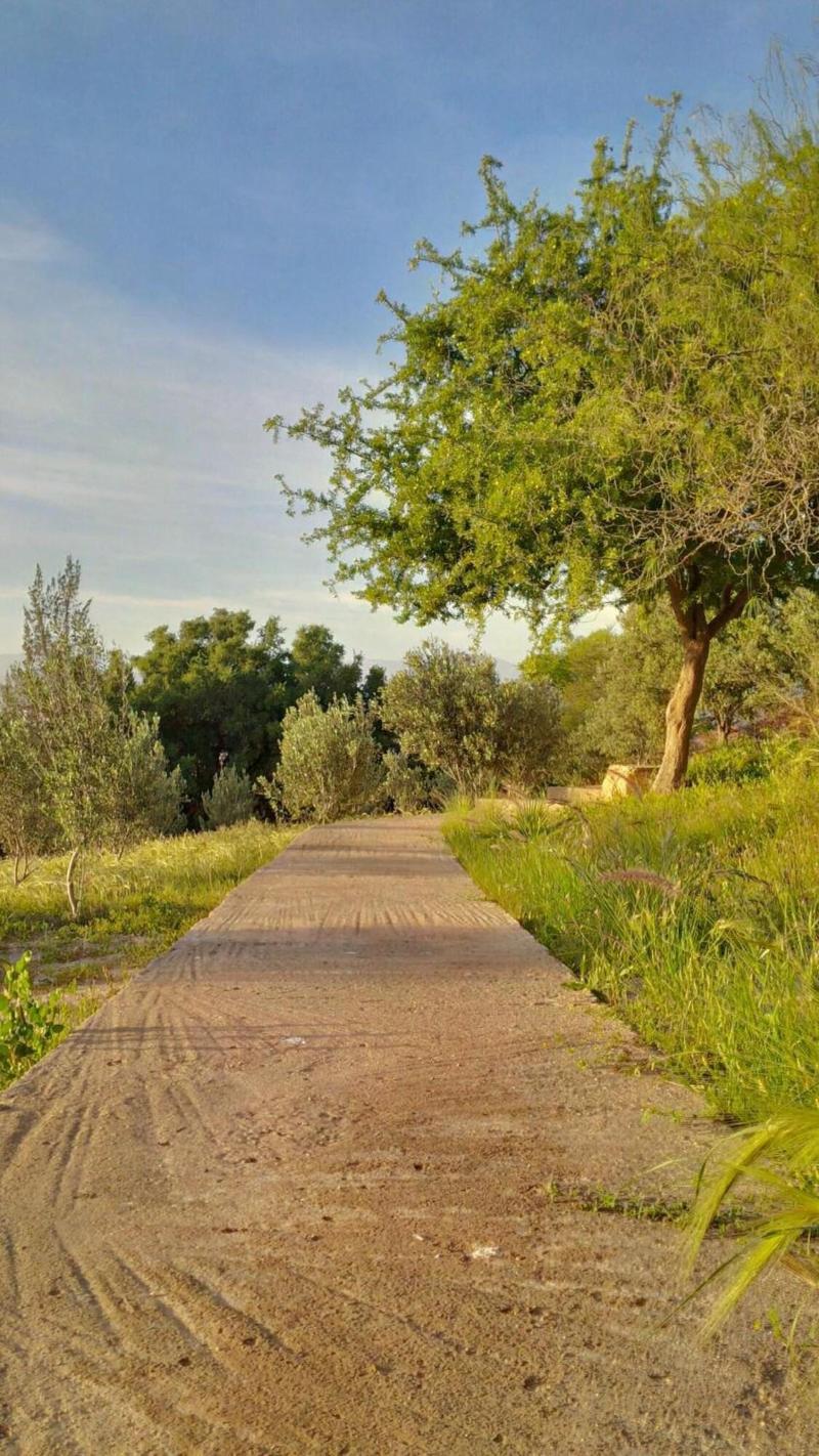Villa du Souss Eco-Lodge - Genel
