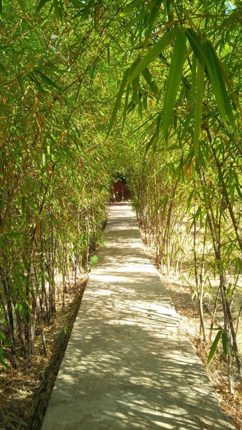 Villa du Souss Eco-Lodge - Genel