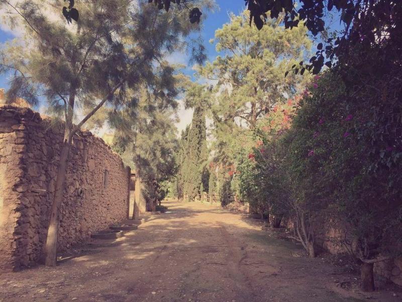 Villa du Souss Eco-Lodge - Genel