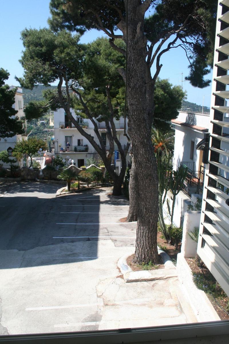 Hotel Timiama - Genel