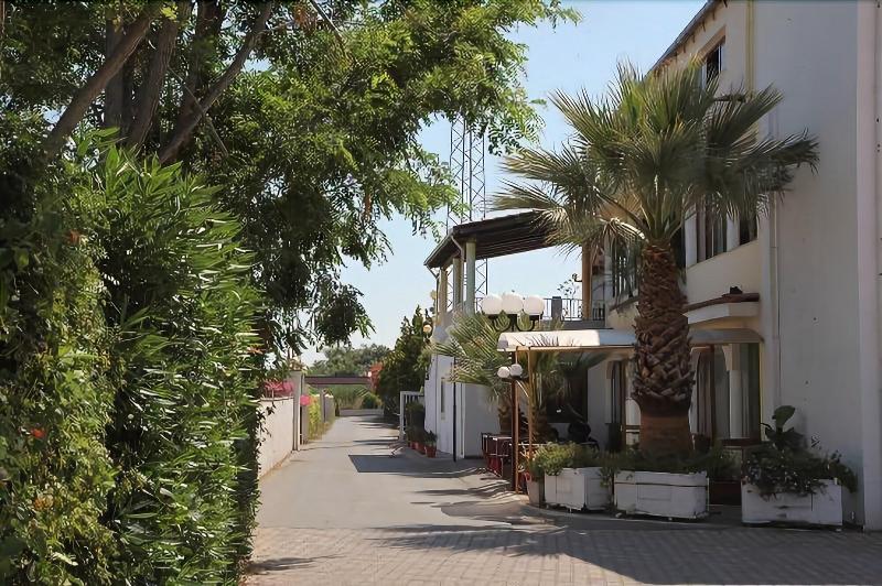 Hotel Company - Genel
