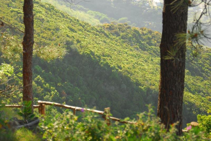 Bed & Breakfast Eoliano - Genel