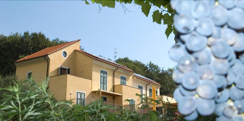 Hotel Oroverde - Genel