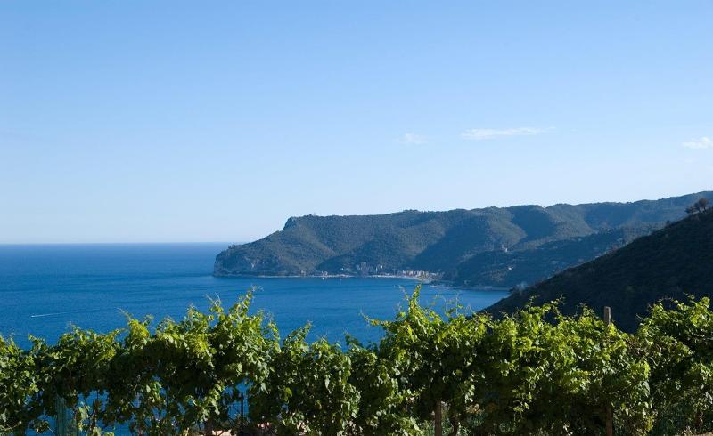 Hotel Oroverde - Genel