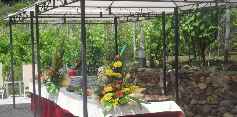 Hotel Oroverde - Teras
