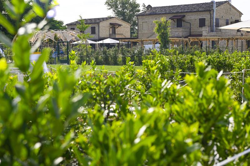 Moretti Country House - Genel