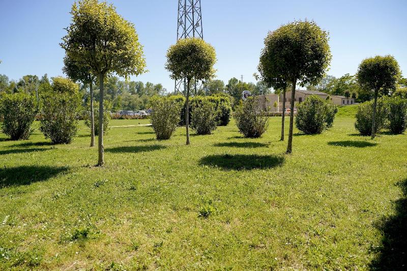 Moretti Country House - Genel