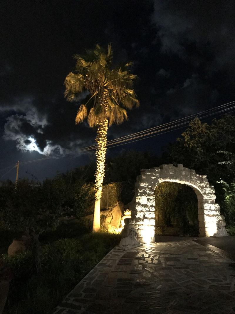 Villa Martius - Genel