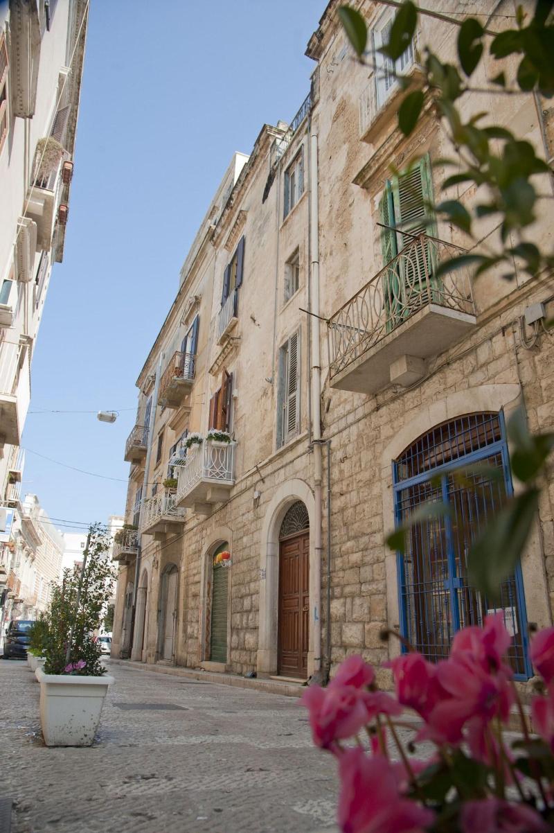 Sotrani - Genel