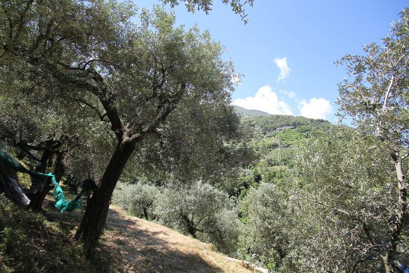 Villa Catiè - Aktivite