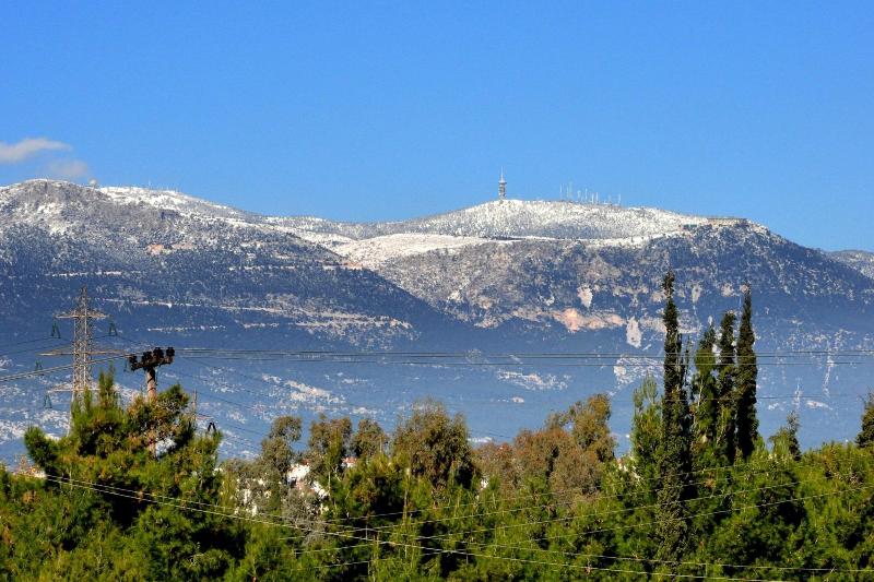 Cavallari Palace Hotel - Genel