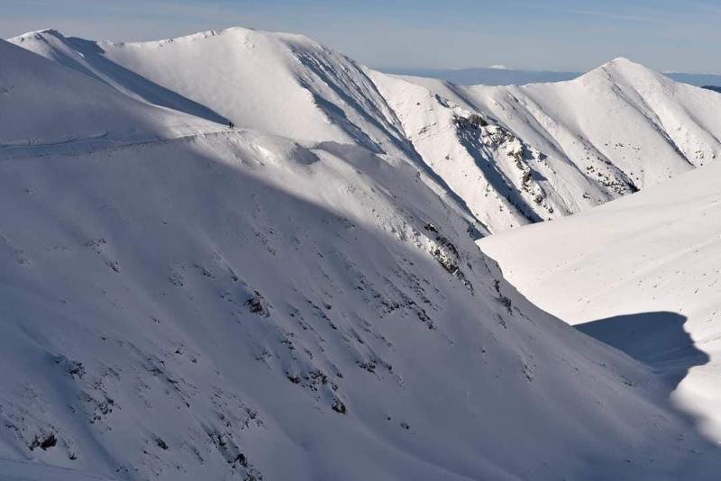 Dimatis - Aktivite