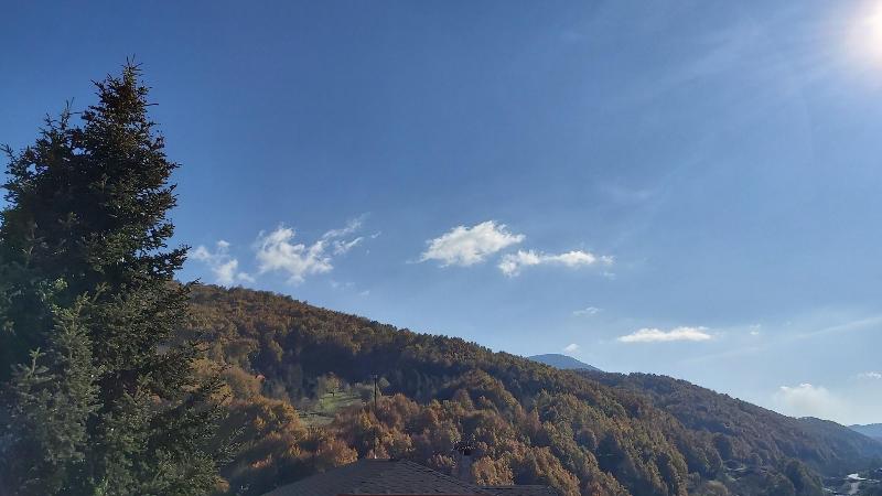 Dimatis - Oda