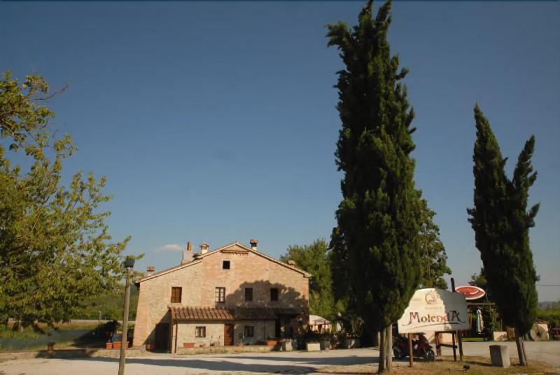 B&B Molenda - Genel
