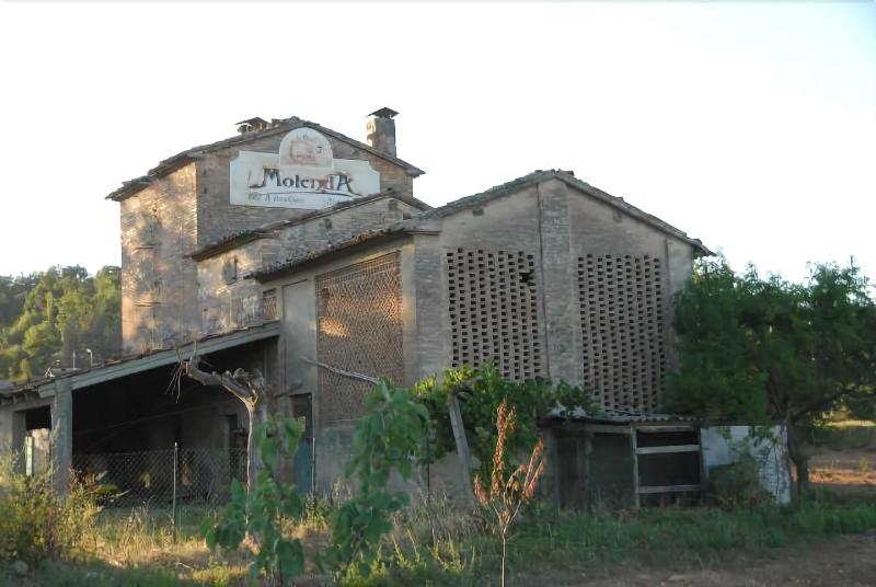B&B Molenda - Genel