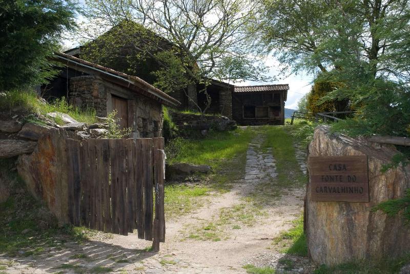 Branda Da Aveleira - Genel
