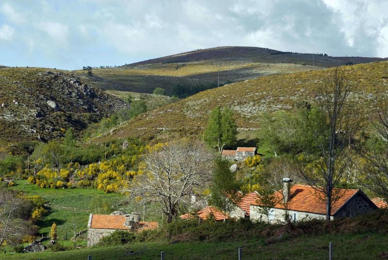Branda Da Aveleira - Genel