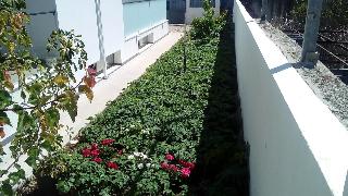 Tires Guest House fotoÄŸrafÄ±