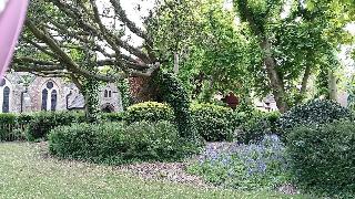 The Wycliffe Guest House fotoÄŸrafÄ±