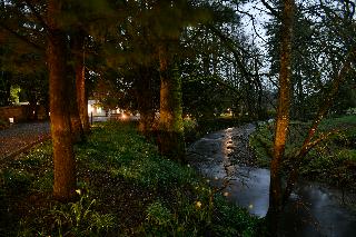 Lovelady Shield Country House Hotel fotoÄŸrafÄ±