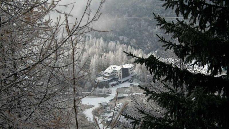 Les Neiges d'Antan - Genel