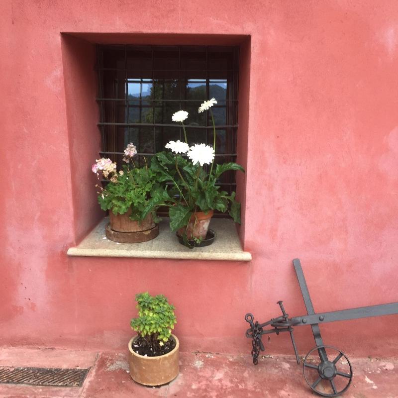B&B La Ceramica Moline - Aktivite