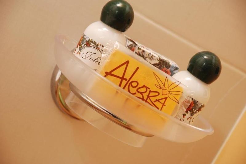 Hotel Alegra - Oda