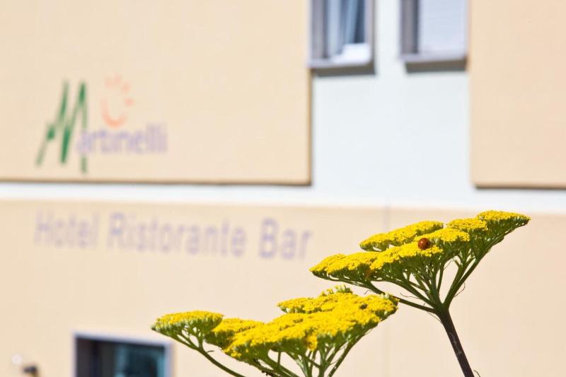 Hotel Martinelli - Lobi
