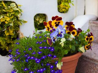 The Heidi Bed & Breakfast fotoÄŸrafÄ±