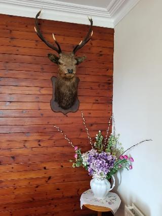 Glenan Lodge fotoÄŸrafÄ±
