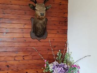 Glenan Lodge fotoÄŸrafÄ±