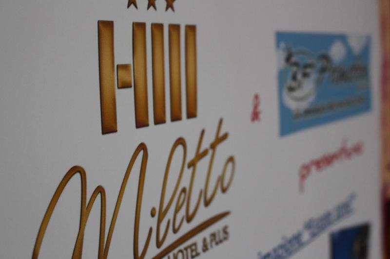 Hotel Miletto - Toplantı