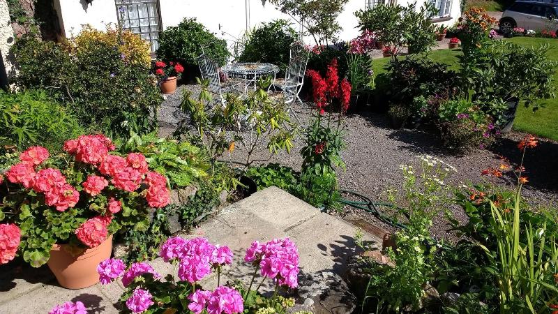 Brambles Bed And Breakfast - Genel