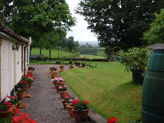 Brambles Bed And Breakfast fotoÄŸrafÄ±